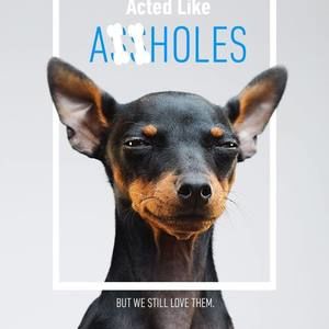 Meet your Posher, Todd